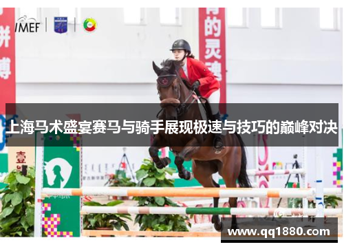 上海马术盛宴赛马与骑手展现极速与技巧的巅峰对决