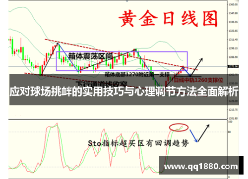 应对球场挑衅的实用技巧与心理调节方法全面解析