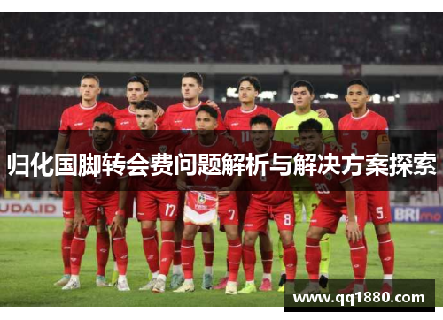 归化国脚转会费问题解析与解决方案探索